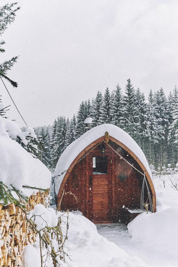 فيلا Schöneckفي Blickinsfreie - Cabin المظهر الخارجي الصورة