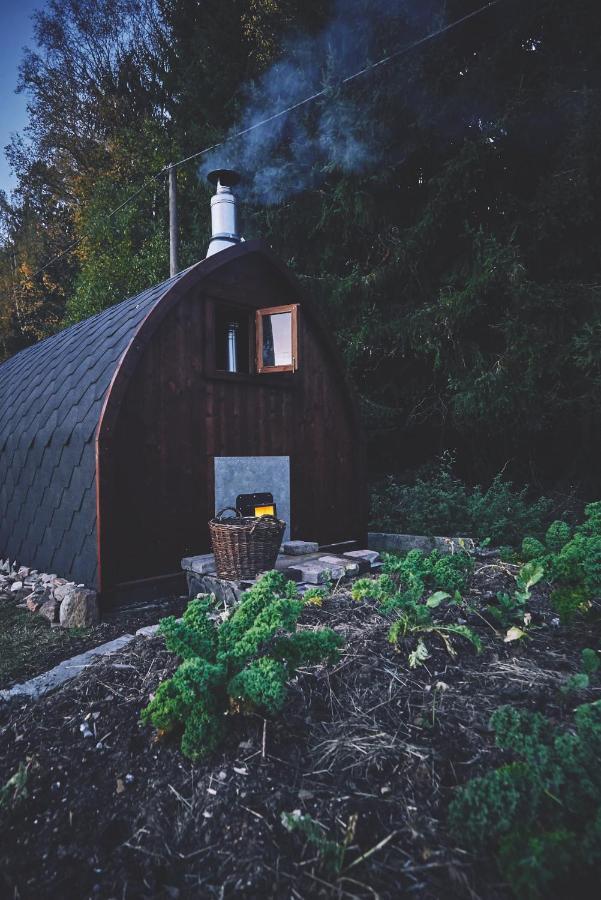 فيلا Schöneckفي Blickinsfreie - Cabin المظهر الخارجي الصورة